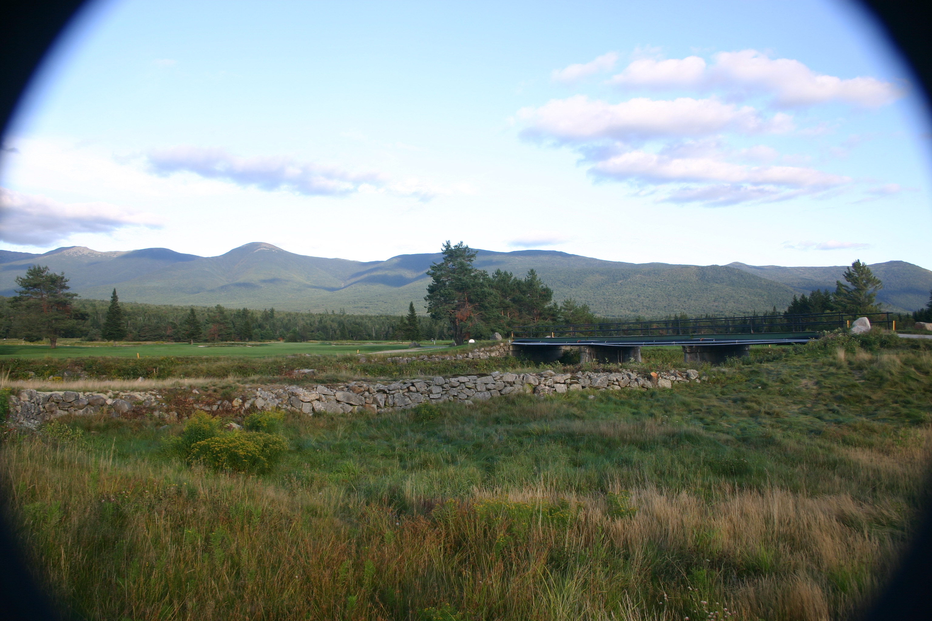 picture 75.